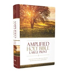 AMPLIFIED HOLY BIBLE LARGE PRINT